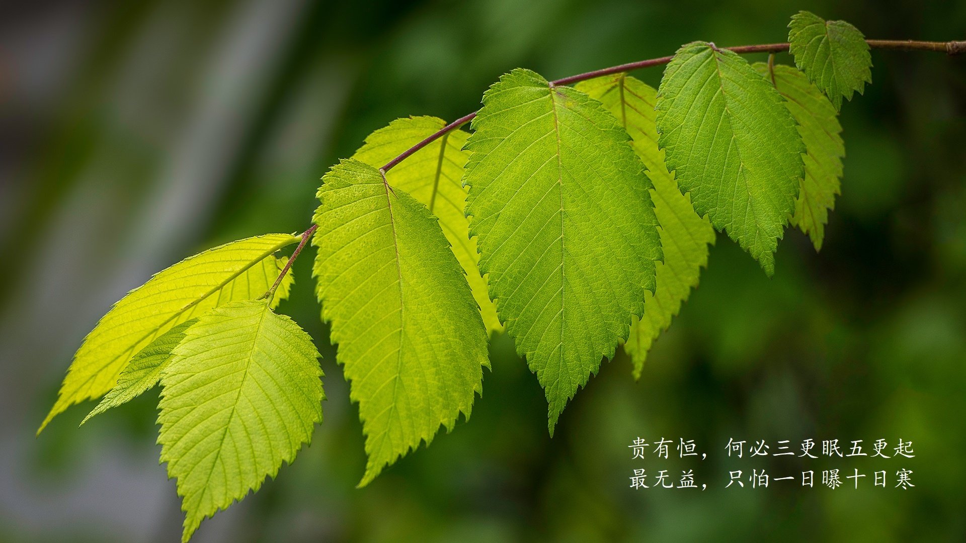 九游(jiuyou)官方网站-篮球教练员资格认证体系优化调整，篮球教练员证有效期几年