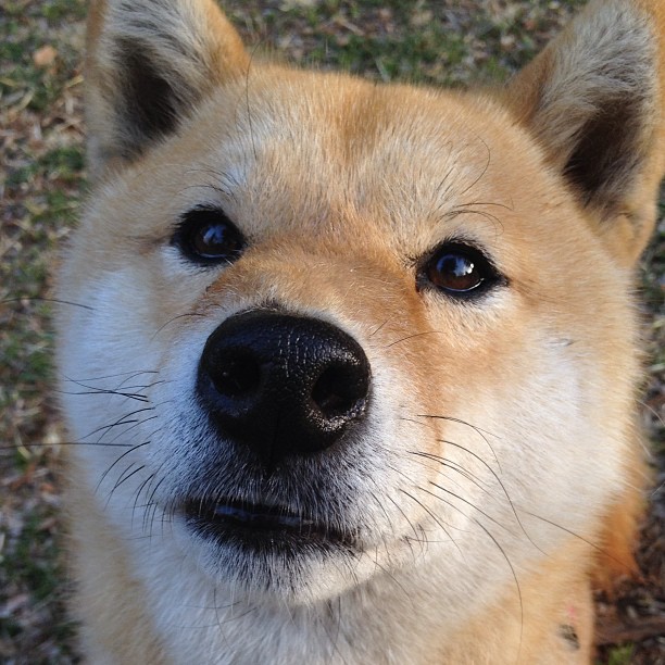 九游游戏中心官网-中国足球青训中心推动教练工作坊常态化发展，中国足球青训队教练