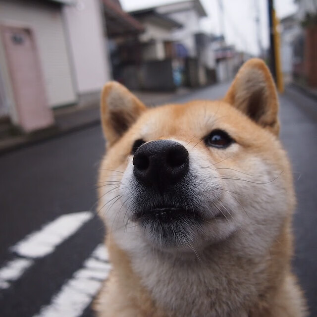 九游网游官网-国际足球比赛推动“智慧场馆”建设，体验升级