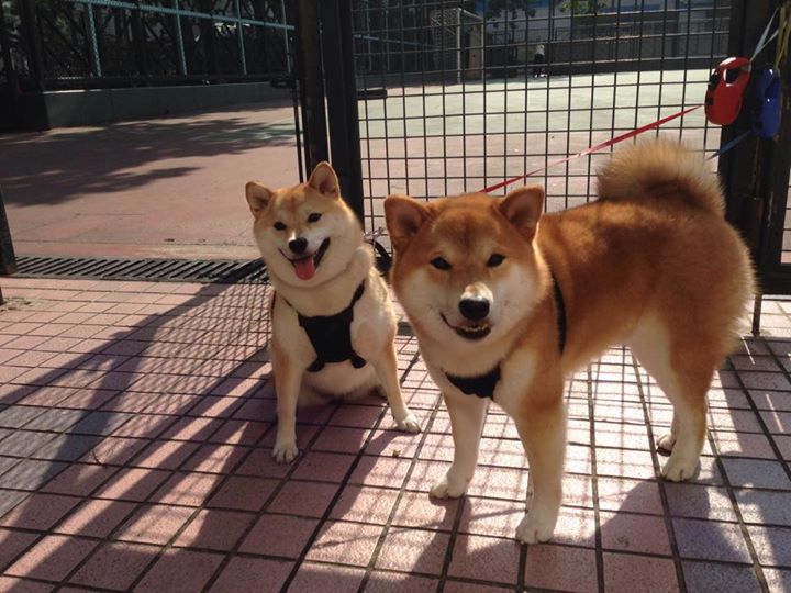 场边摄像机捕捉到战术信号板更换引发战术变化猜测，战术摄像头