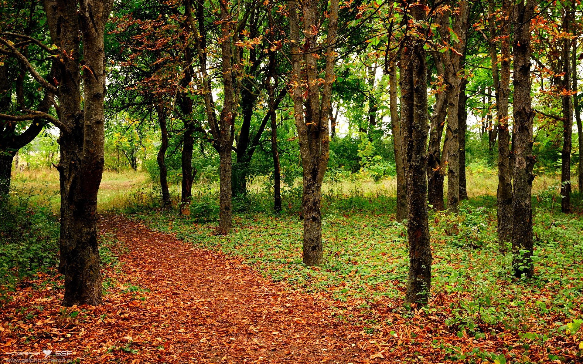 九游网页版入口-小组赛战胜罗马尼亚、入八强表现稳健，wta罗马尼亚公开赛