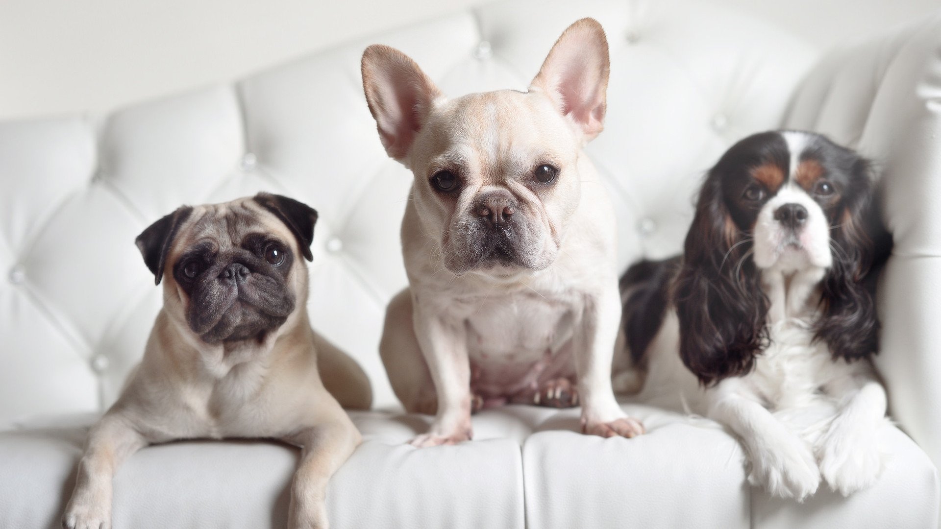 九游电脑版-掘金三巨头合砍八十分击退凯尔特人，掘金99-112不敌凯尔特人