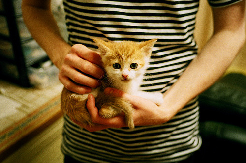 九游下载安装-斯密斯：全面提升全黑队进攻水平，成为不可替代的半场指挥官，美国斯密斯