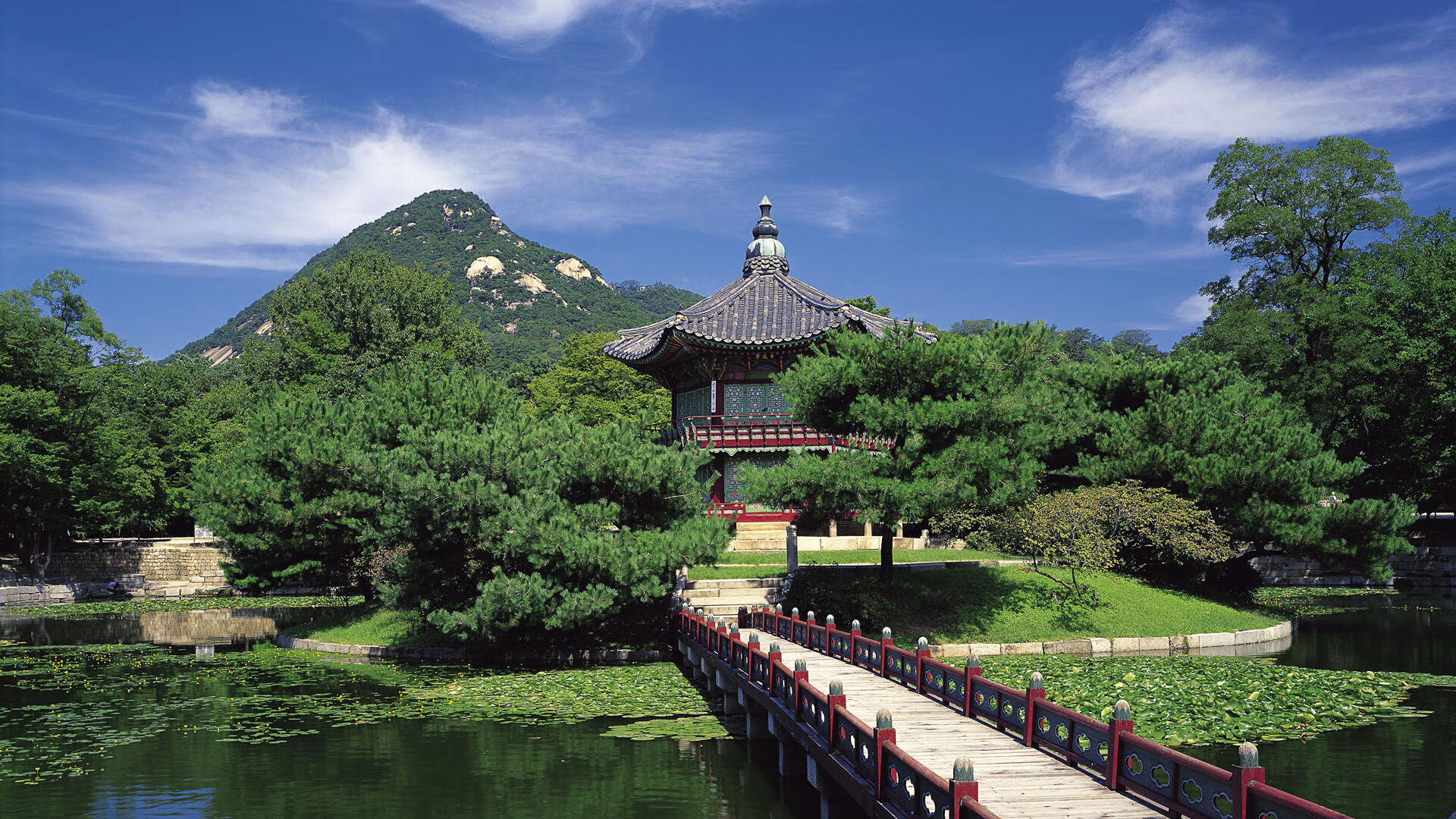 九游游戏中心官网-日本队在亚洲杯中展现强大实力，志在收获冠军