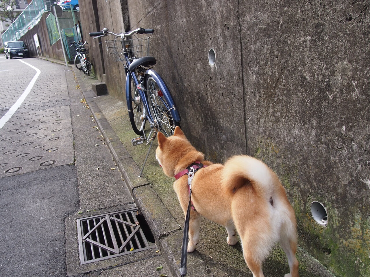 JIU YOU GAME-新闻平台推出赛事追踪专题聚焦赛季关键节点与核心对决