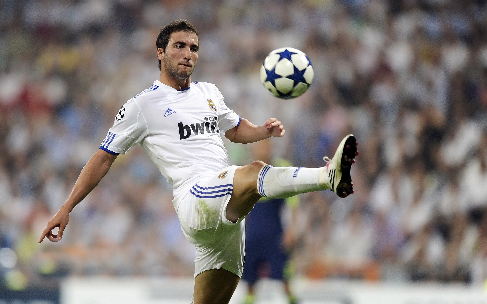 “未来潜力股:联盟新生代的最佳新秀们”,未来联盟巨星