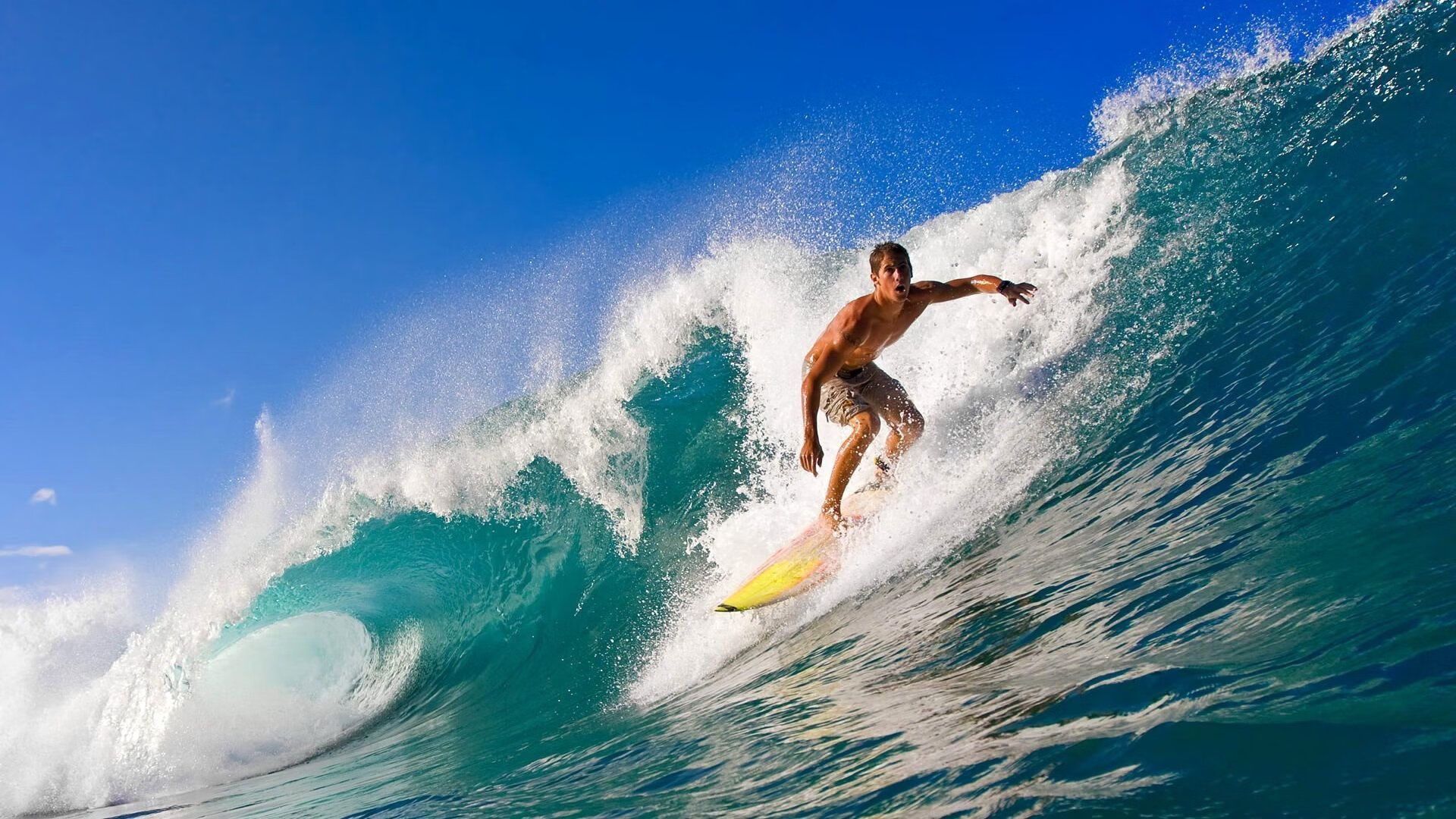 健身行业进入快速发展阶段,市场需求持续增长,健身行业的市场容量和变化趋势