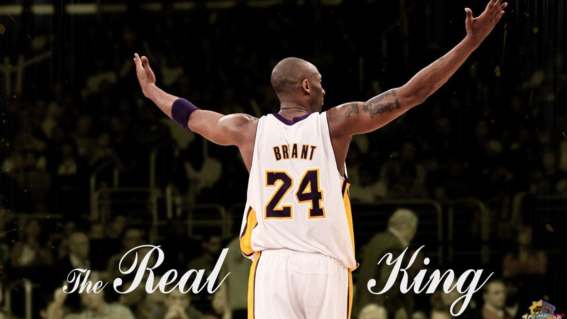 政府持续支持，推动中国体育产业高质量发展，政府推动体育发展的作用